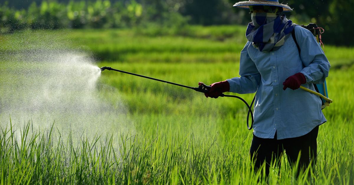 The Engineer - 3D printed SERS device detects trace pesticides in water