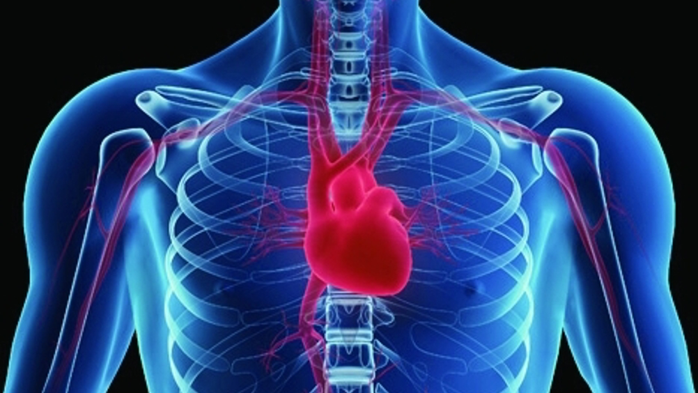 Electric Mesh Can Give The Heart An Electromechanical Hug — Born