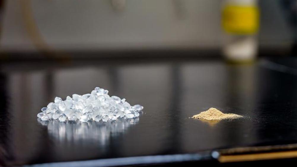 A biodegradable "living plastic" is made by combining thermoplastic polyurethane pellets (left) and Bacillus subtilis spores (right) that have been engineered to survive the high temperatures used to produce the plastic