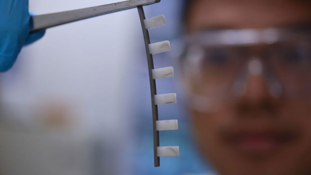 AIBN PhD scholar Xumin Huang with one of the soft-rigid 'spines' printed by the Qiao lab