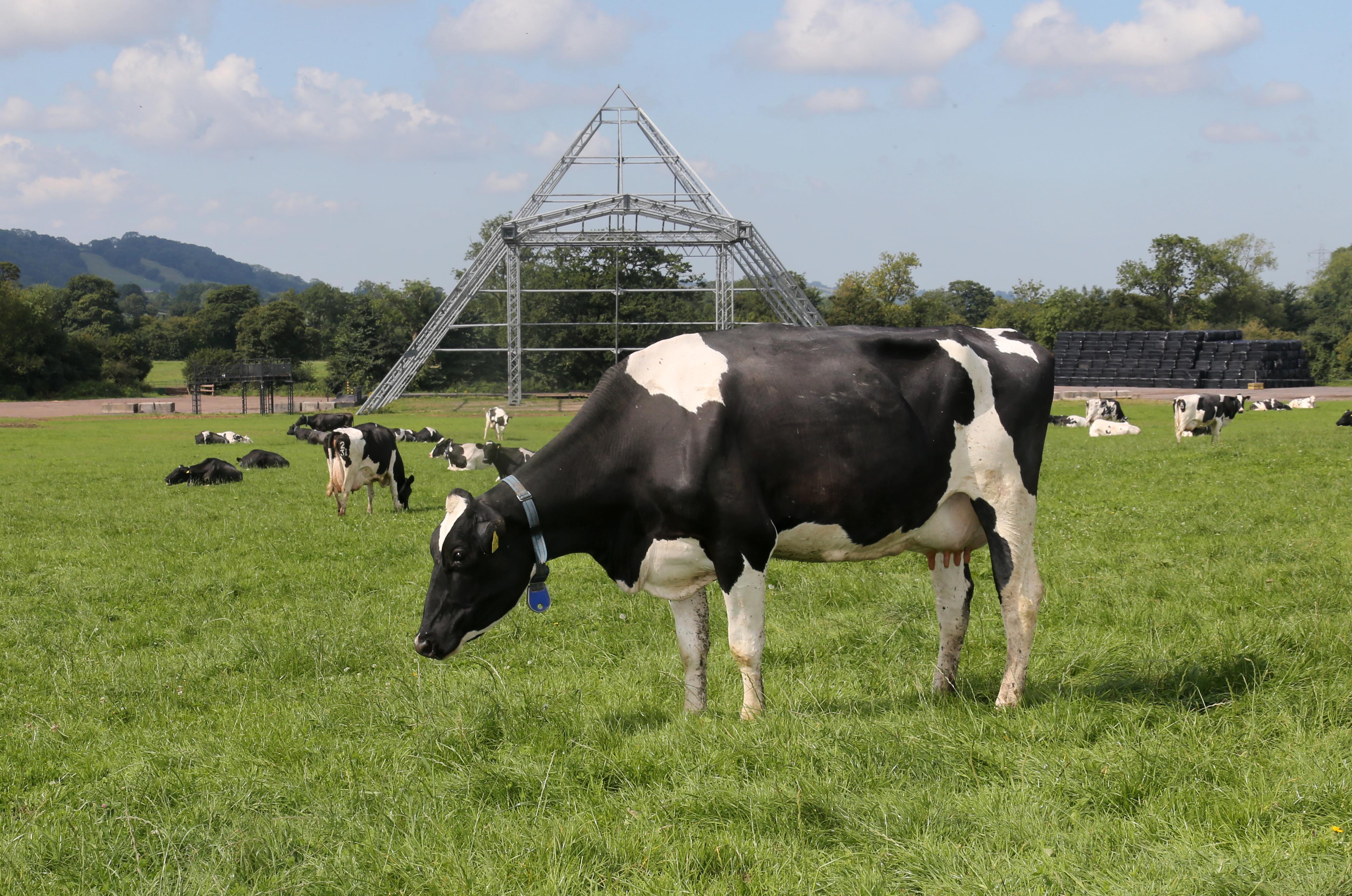 Glastonbury’s Worthy Farm lines up slurry-to-hydrogen tech – The Engineer