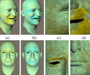 The engineers created the realistic virtual characters by capturing the details of the skin at resolution levels of approximately ten microns. 