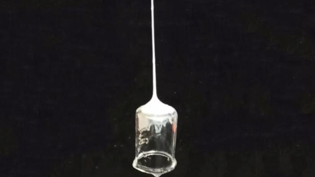 Liquid stream of silk solution solidifies to a fiber, adheres to and lifts a glass laboratory beaker