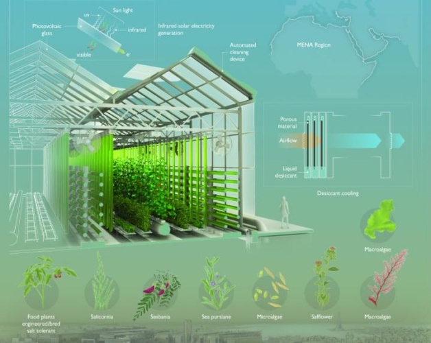 Types Of Controlled Environment Agriculture Design Talk