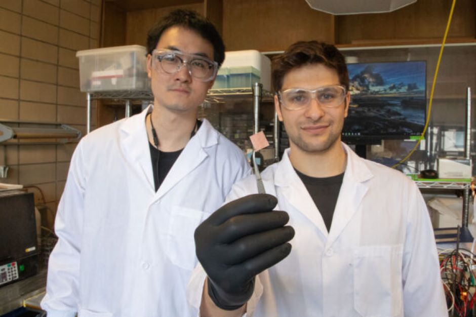 The Engineer – New catalyst offers economical carbon capture and storage