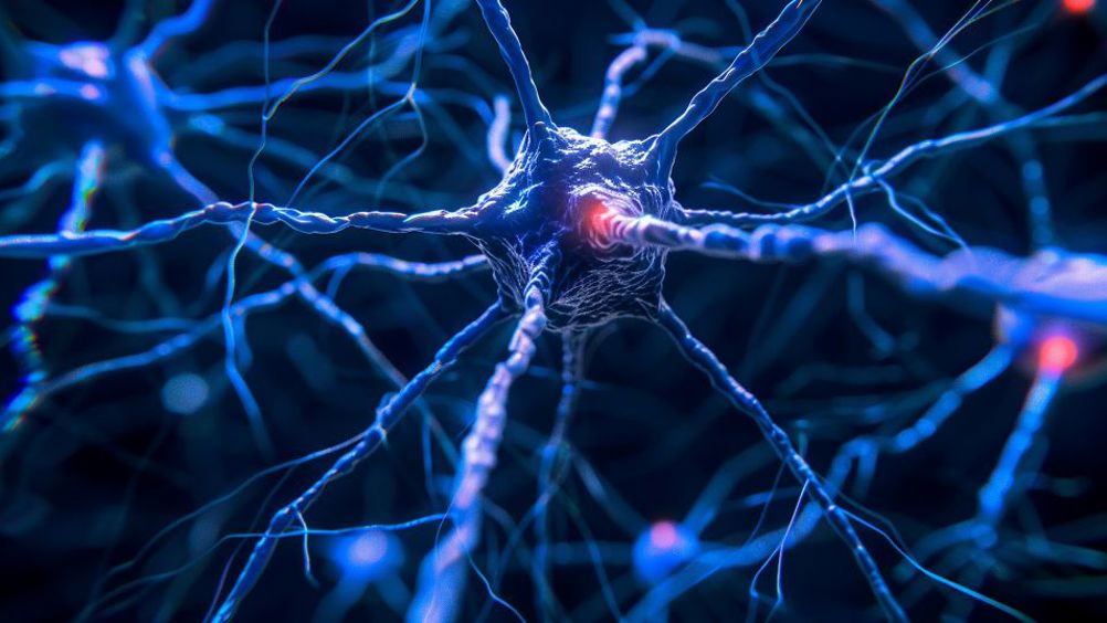 Neural interface provides access to nervous system